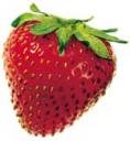 fraise.jpg