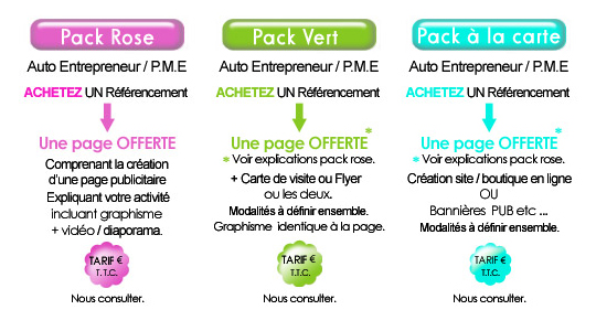 referencement-e-commerce-offre-2010